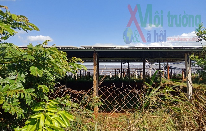 Cư M’Gar – Đắk Lắk: Dự án Điện mặt trời vi phạm đất đai nghiêm trọng, xã Ea Kiết xử phạt ''để tồn tại''?